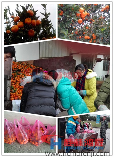 南豐蜜桔滯銷現(xiàn)象嚴重 桂林鴻程收購 南豐蜜桔 南豐蜜桔滯銷現(xiàn)象嚴重 桂林鴻程收購 南豐蜜桔