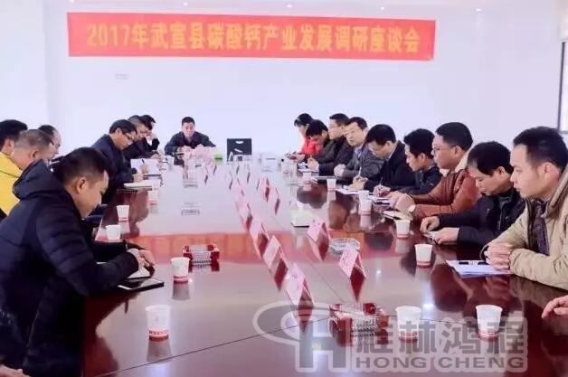 12家礦業公司共商碳酸鈣產業發展思路 12家礦業公司共商碳酸鈣產業發展思路